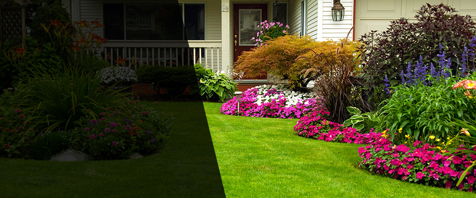 Sandy Spring Landscapers