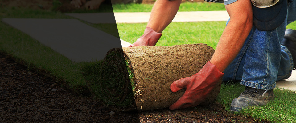 Sandy Spring Landscapers